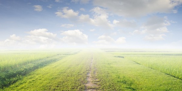 ماجستير العلوم في إدارة الأراضي والتنمية