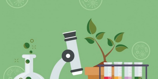 ماجستير في العلوم (ماجستير) (عن طريق البحث)