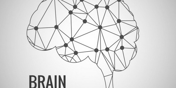 دكتوراه في الفلسفة دكتوراه في مجال تكنولوجيا المعلومات-المعلوماتية الأحيائية عن طريق البحث