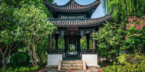 بكالوريوس في دراسات شرق آسيا