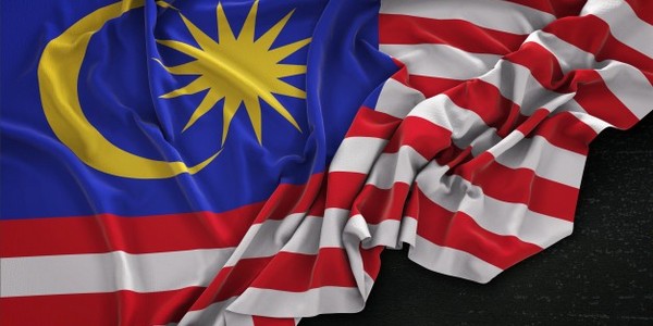 بكالوريوس اللغة الماليزية المهنية