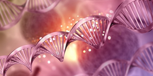 بكالوريوس العلوم في علم الوراثة