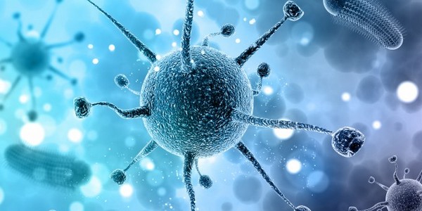 ماجستير في العلوم الطبية في علم الأمراض العيادية - عيادية