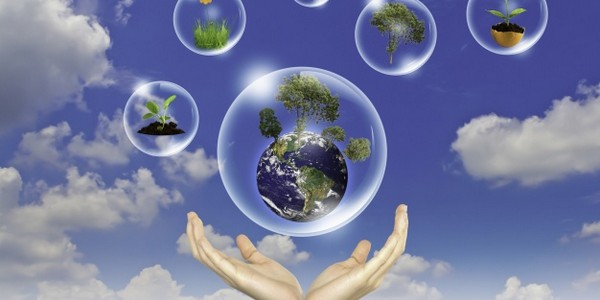 ماجستير في علوم الاستدامة - عن طريق دورات دراسية