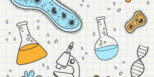 دكتوراه في الفلسفة (علم الأحياء) - عن طريق البحث