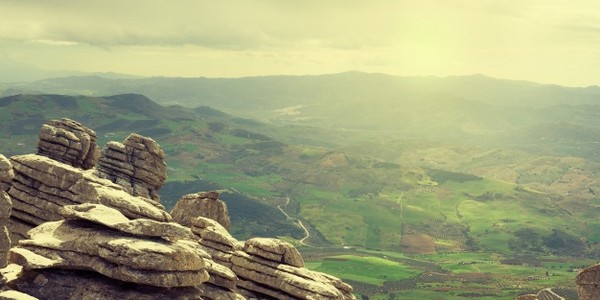 دكتوراه في الفلسفة (الجيولوجيا) - عن طريق البحث